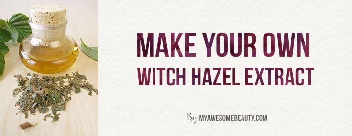 make your own witch hazel extract