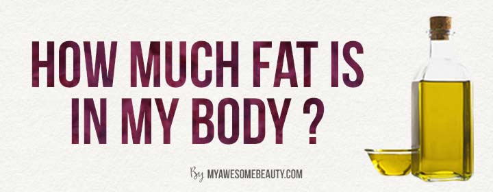 how much fat is in my body