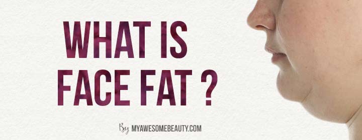 what is face fat ?