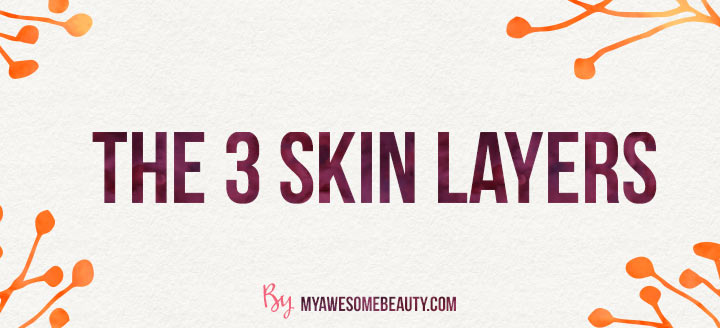 The 3 layers of skin